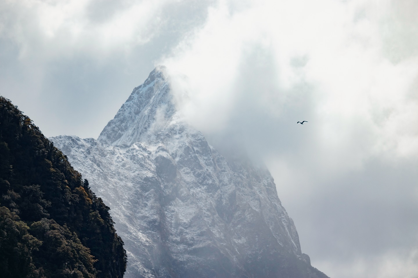 New Zealand
